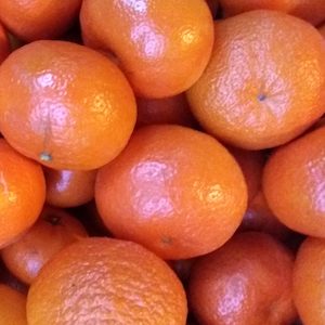 mandarina