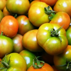tomàquet verd