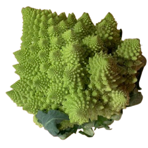 bròquil romanesco (u)