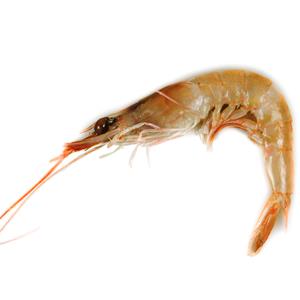 gamba blanca petita 500 g La Platjeta