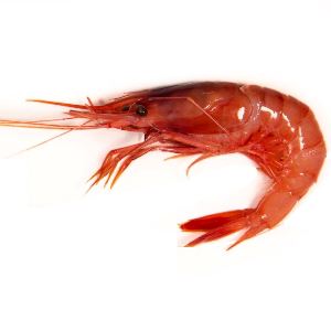 gamba vermella petita 250 g La Platjeta