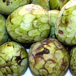xirimoia