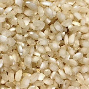 arròs albufera (tipus bomba) AG.