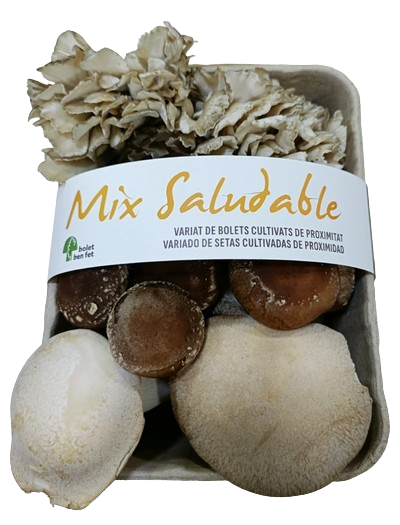 mix de bolets 300 g Bolet ben fet