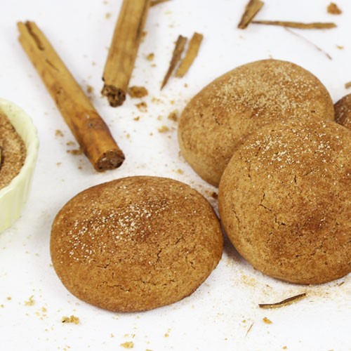 galetes d'espelta canyella i llard Pa de Niko - Territori AG