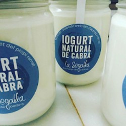 [90545] iogurt de cabra 400 ml EV La Segalla