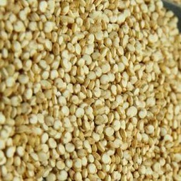 [g32] quinoa AG.