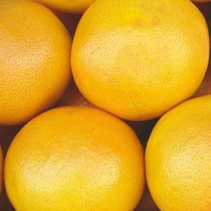 [h010] aranja (pomelo)