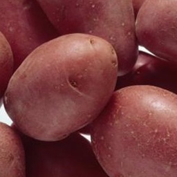 [h079] patata vermella