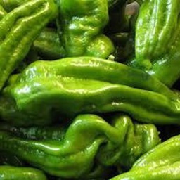 [h082] pebrot verd italià