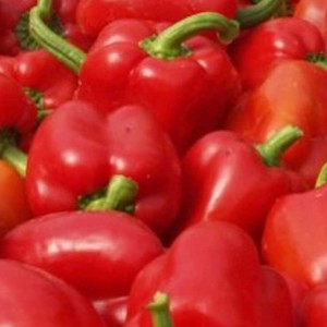 [h085] pebrot vermell