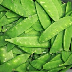 [h114] tirabecs - estirabecs