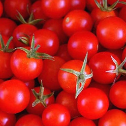 [h123] tomàquet cirerol (xerri)