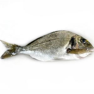 [1239] orada salvatge neta 2u 500 g La Platjeta