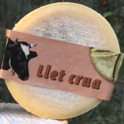 [1504] formatge de llet crua de vaca Pujol-Orra