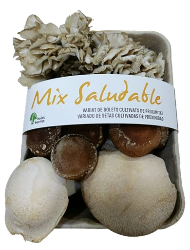 [h155] mix de bolets 300 g Bolet ben fet